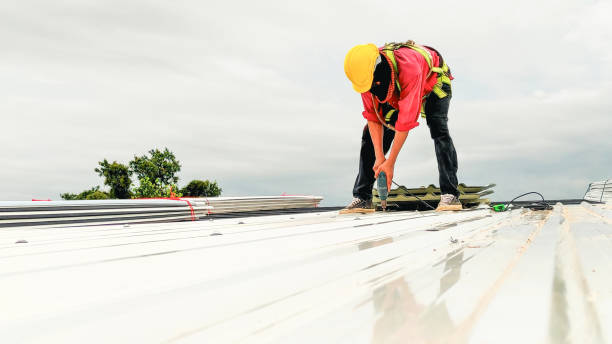 Sheet Metal Roofing in Columbus, MN