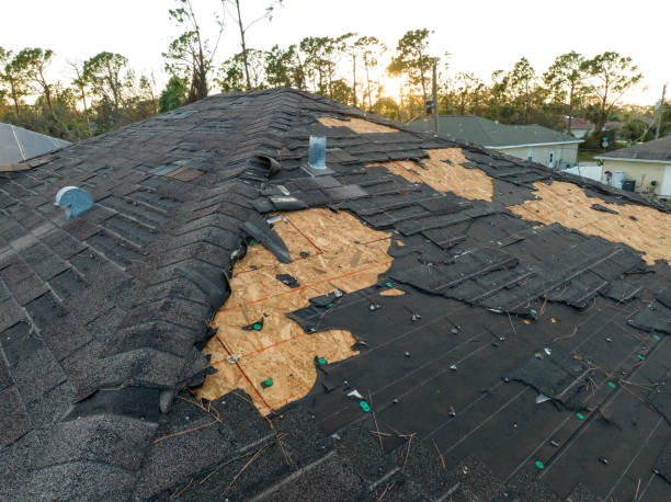 Fast & Reliable Emergency Roof Repairs in Columbus, MN